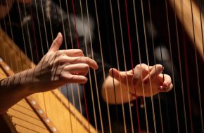 De Muzieksommelier - Harpist(e)