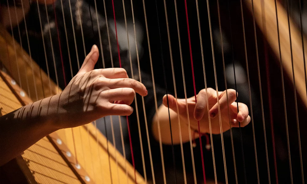 De Muzieksommelier Harpiste Spelend