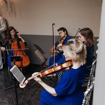 De Muzieksommelier Maat
